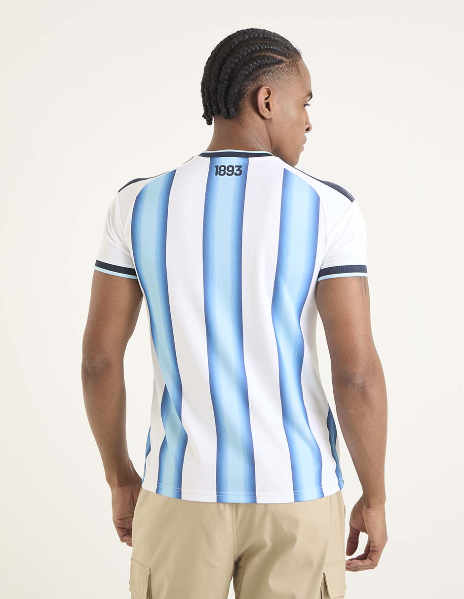 Jersey de Selección de fútbol de Argentina local para mujer 2