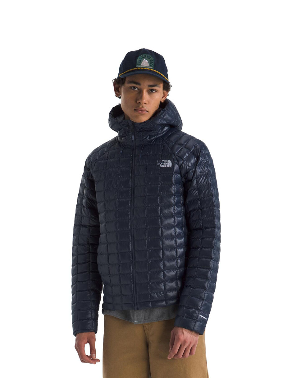 Chamarra para hiking The North Face performance Fleece Thermoball de hombre
