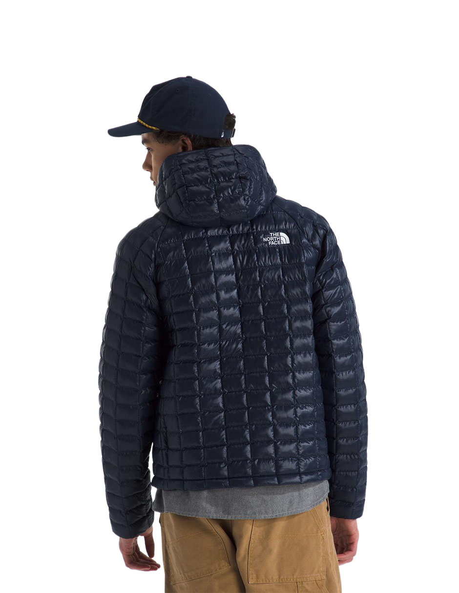 Chamarra para hiking The North Face performance Fleece Thermoball de hombre