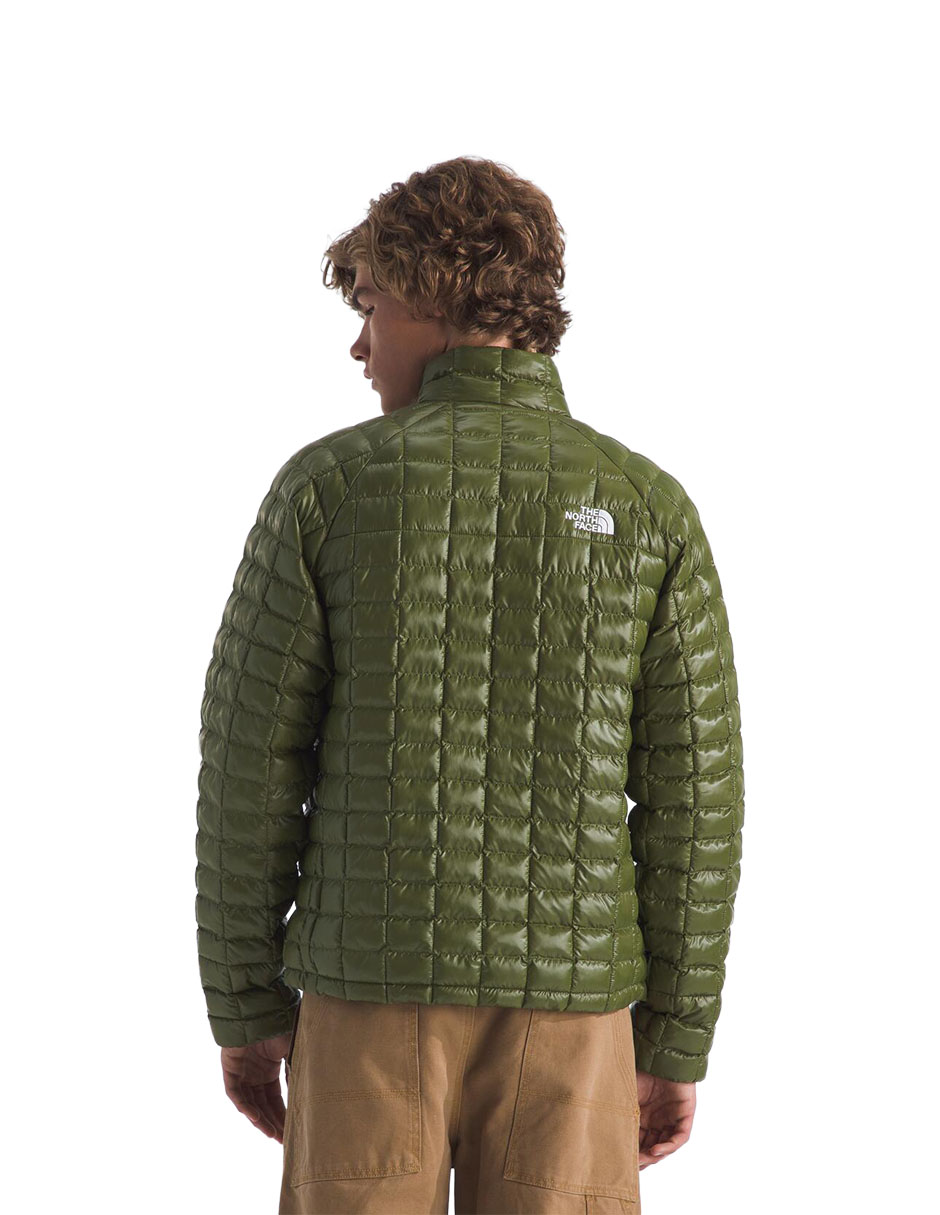 Chamarra para hiking The North Face performance Fleece Thermoball de hombre