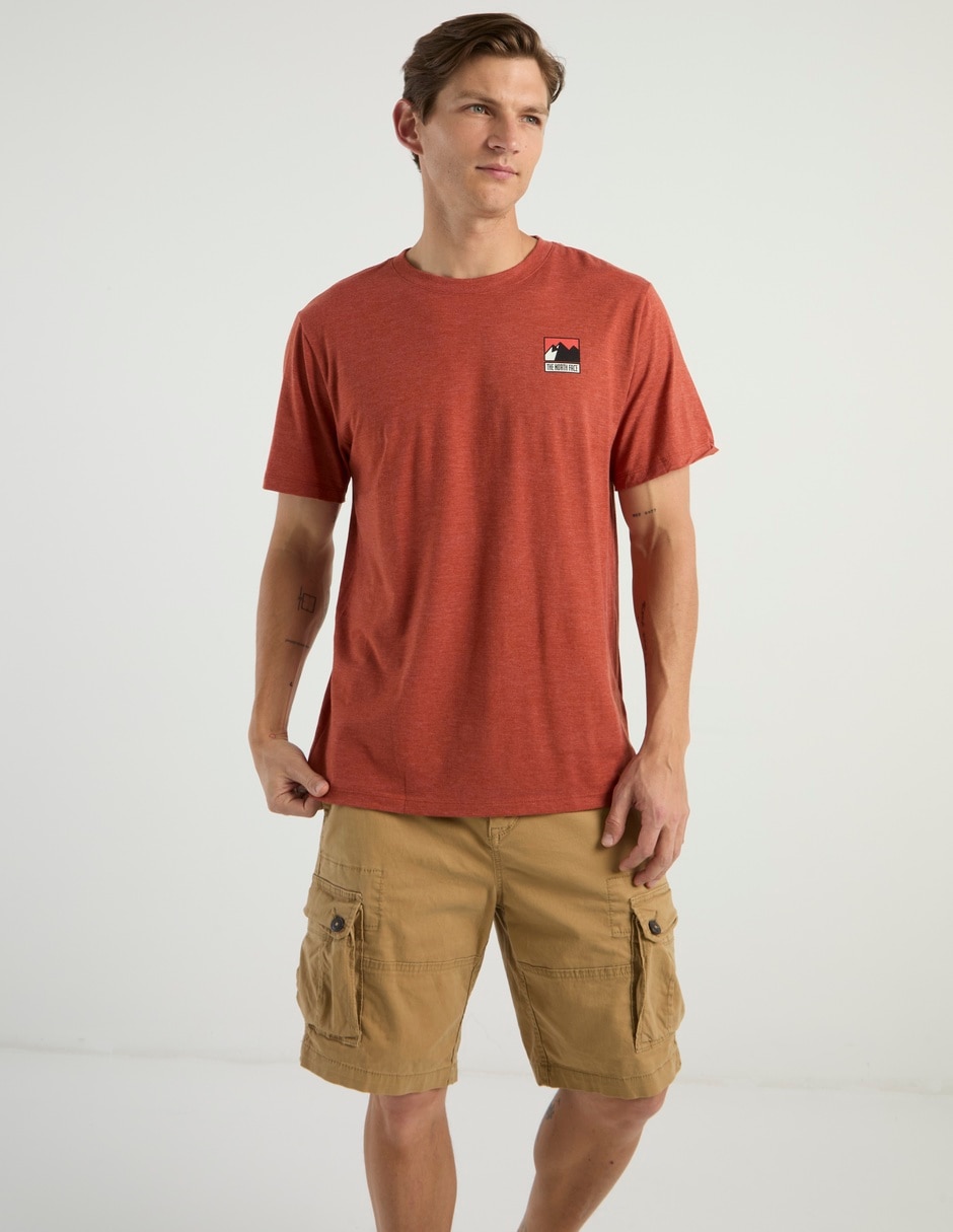 Playera deportiva para entrenamiento The North Face de hombre