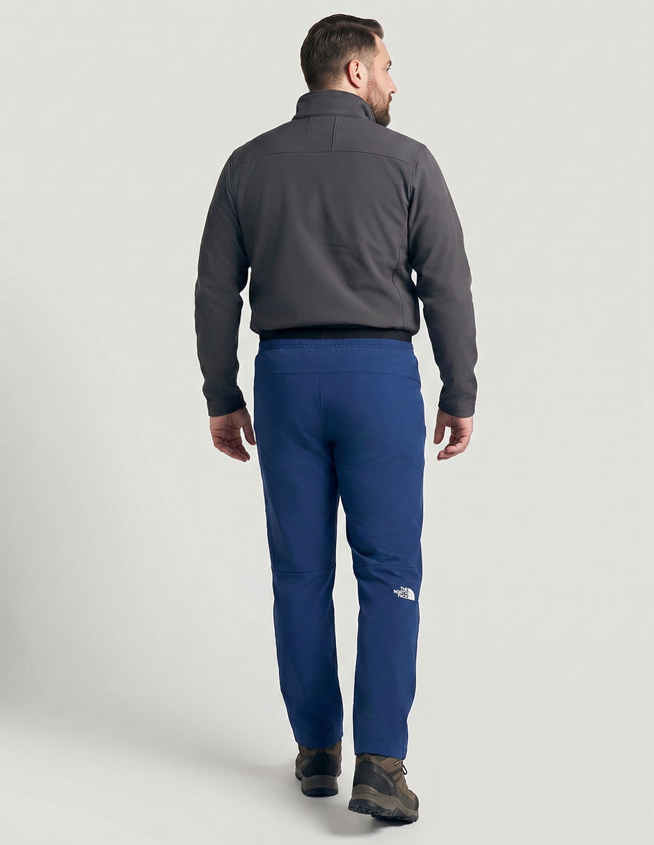 PANTS JOGGER THE NORTH FACE HOMBRE NF0A