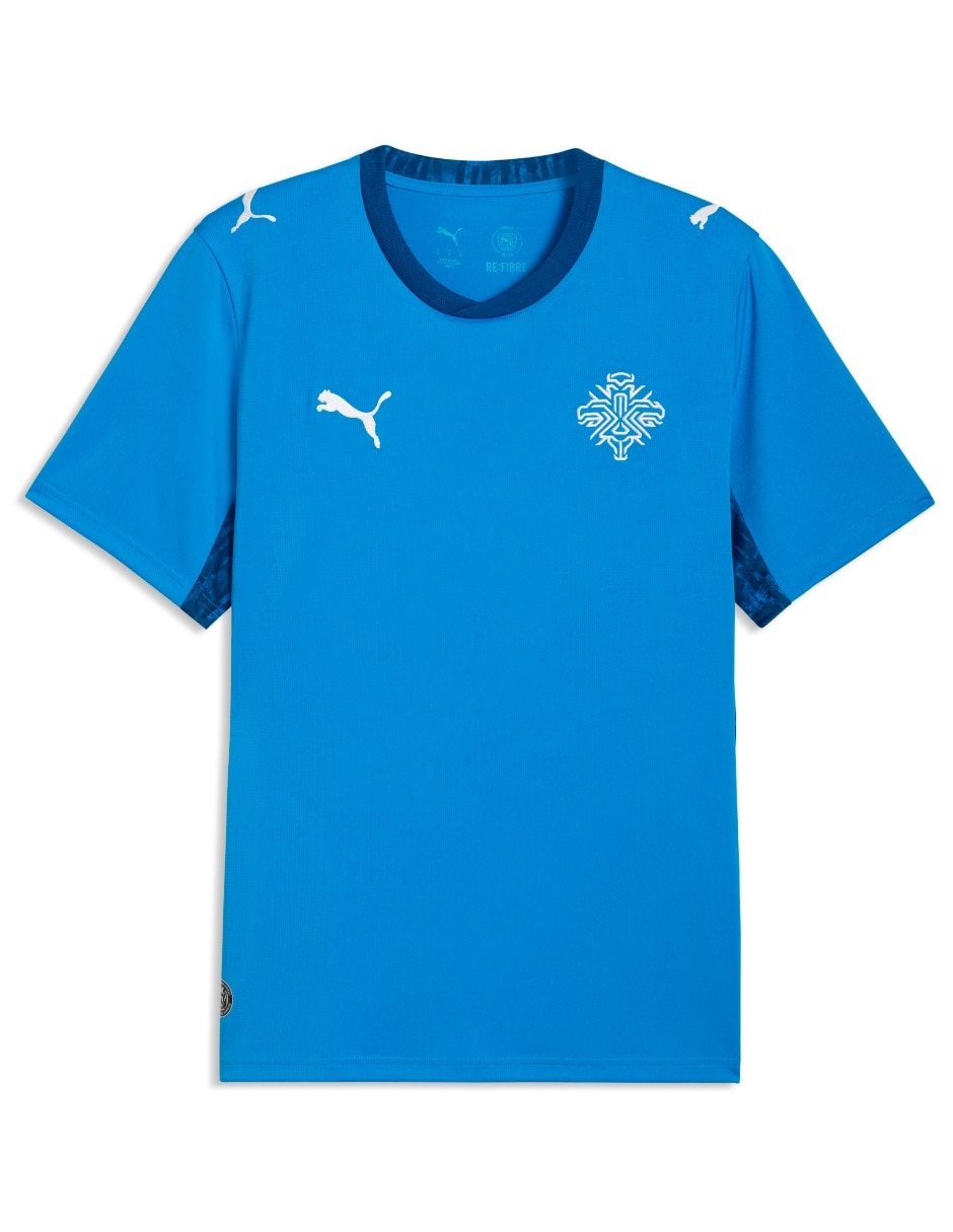 Jersey de Islandia local para hombre