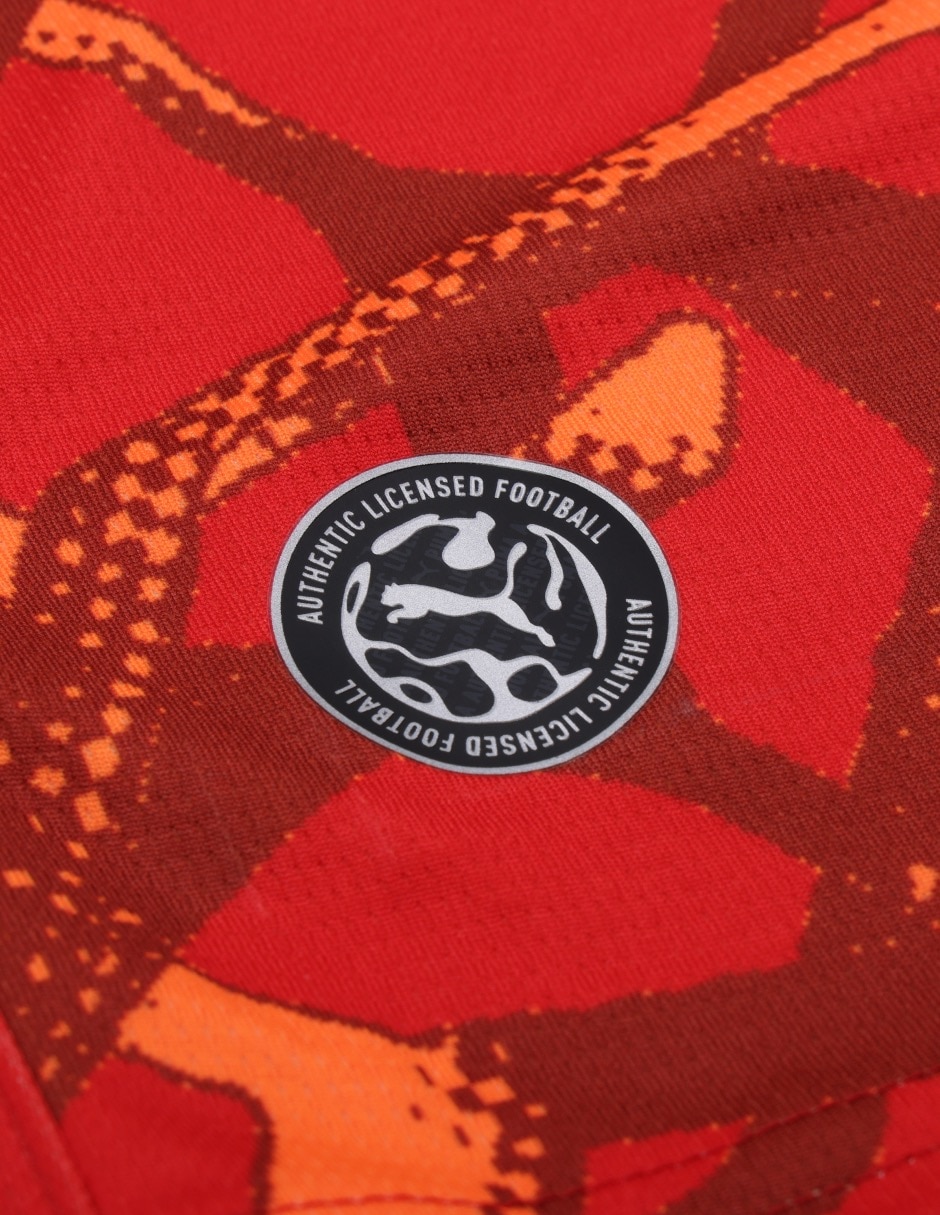 Playera deportiva para entrenamiento Pumas de la UNAM de hombre 2