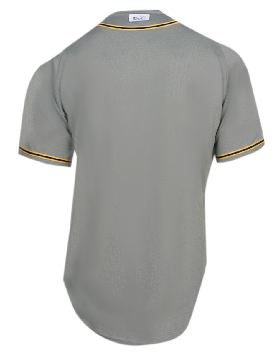 Jersey de Charros de Jalisco Cuarto equipo de No aplica manga Corta Fan para Hombre 2